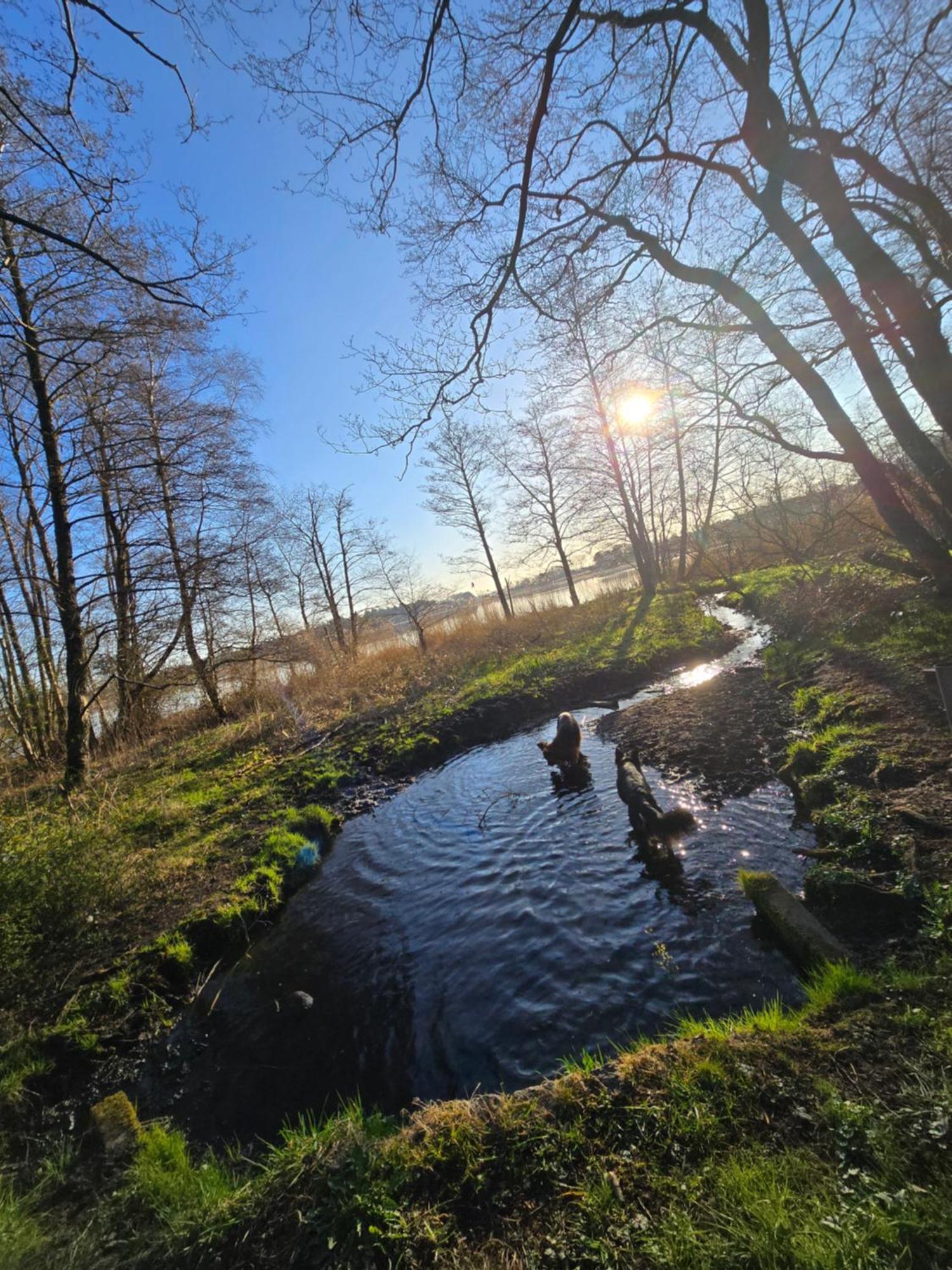 Fewo "Luett Stuv" Fockbek Buitenkant foto